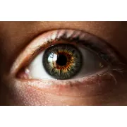 Stacylash logo