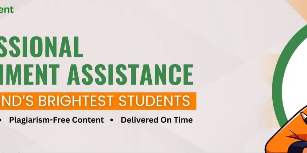 Assignment Helper