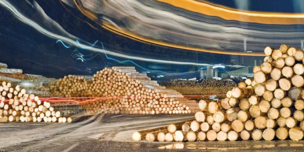 Mayr-Melnhof Holz Leoben GmbH