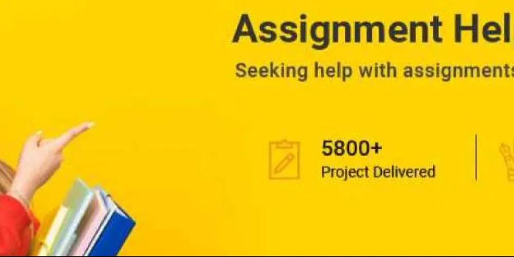 new assignment help uk