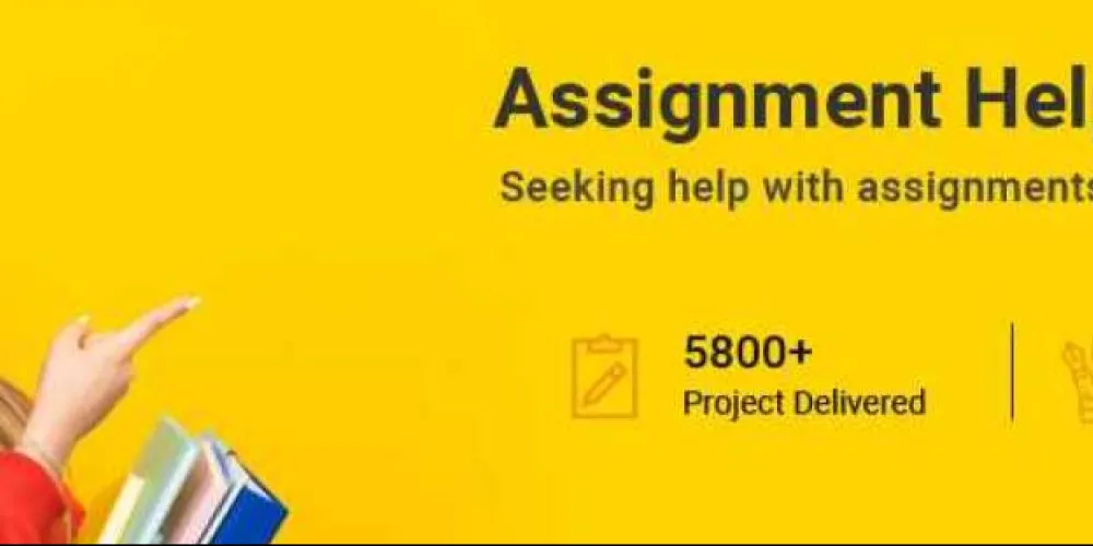 new assignment help uk