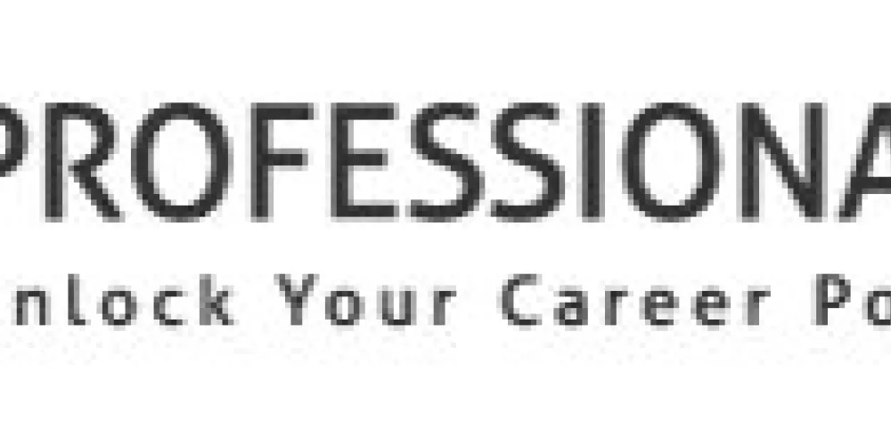 Professional CV Ireland